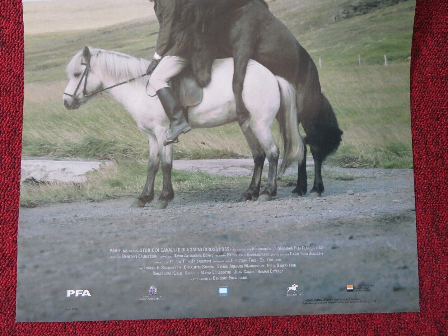 OF HORSES AND MEN ITALIAN LOCANDINA (27"x12.5") POSTER BENEDIKT ERLINGSSON '13