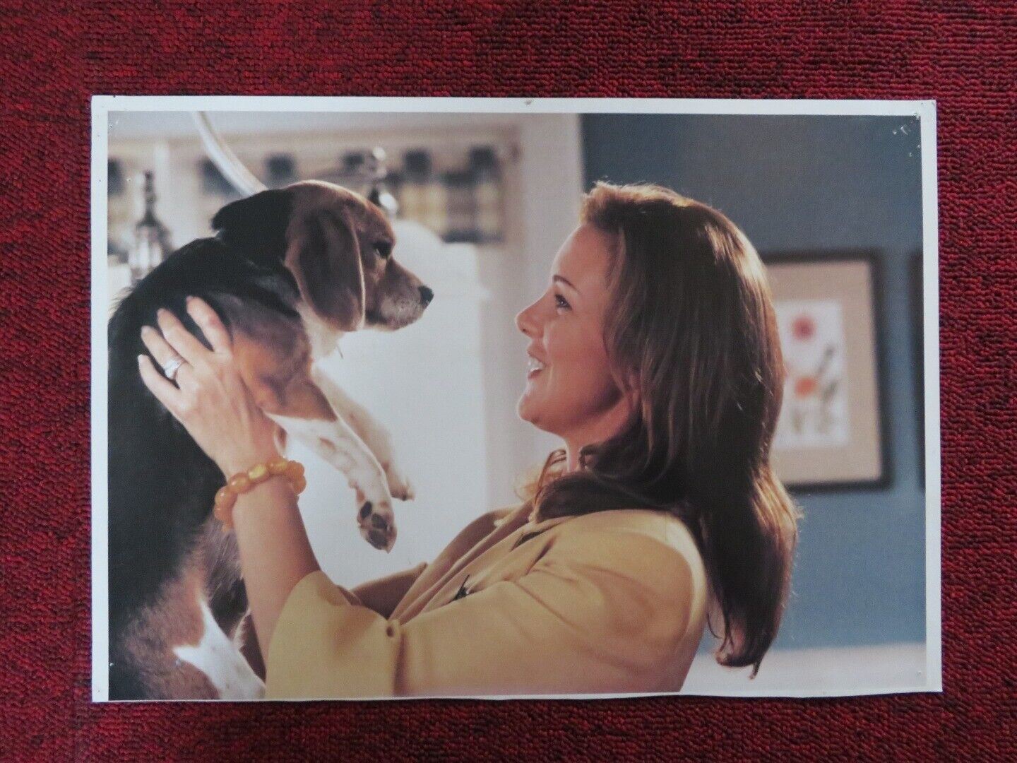 CATS AND DOGS - A US LOBBY CARD ELIZABETH PERKINS 2001