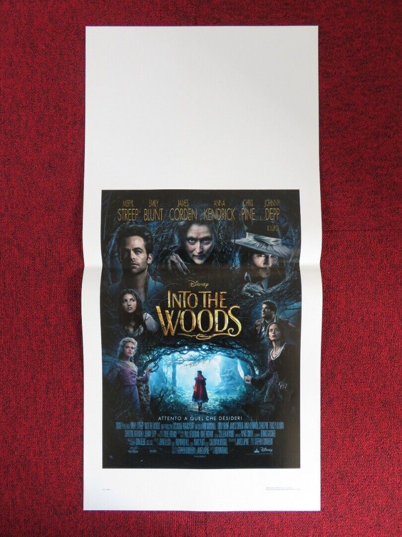 INTO THE WOODS  ITALIAN LOCANDINA (27.5"x13") POSTER DISNEY MERYL STREEP 2014