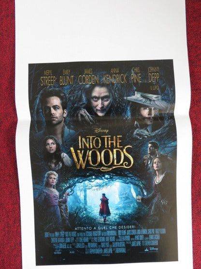 INTO THE WOODS  ITALIAN LOCANDINA (27.5"x13") POSTER DISNEY MERYL STREEP 2014