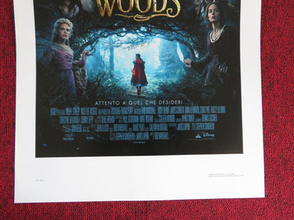 INTO THE WOODS  ITALIAN LOCANDINA (27.5"x13") POSTER DISNEY MERYL STREEP 2014