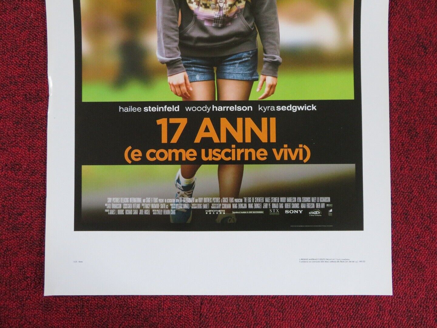 THE EDGE OF SEVENTEEN ITALIAN LOCANDINA (27.5"x13") POSTER H STEINFIELD 2016