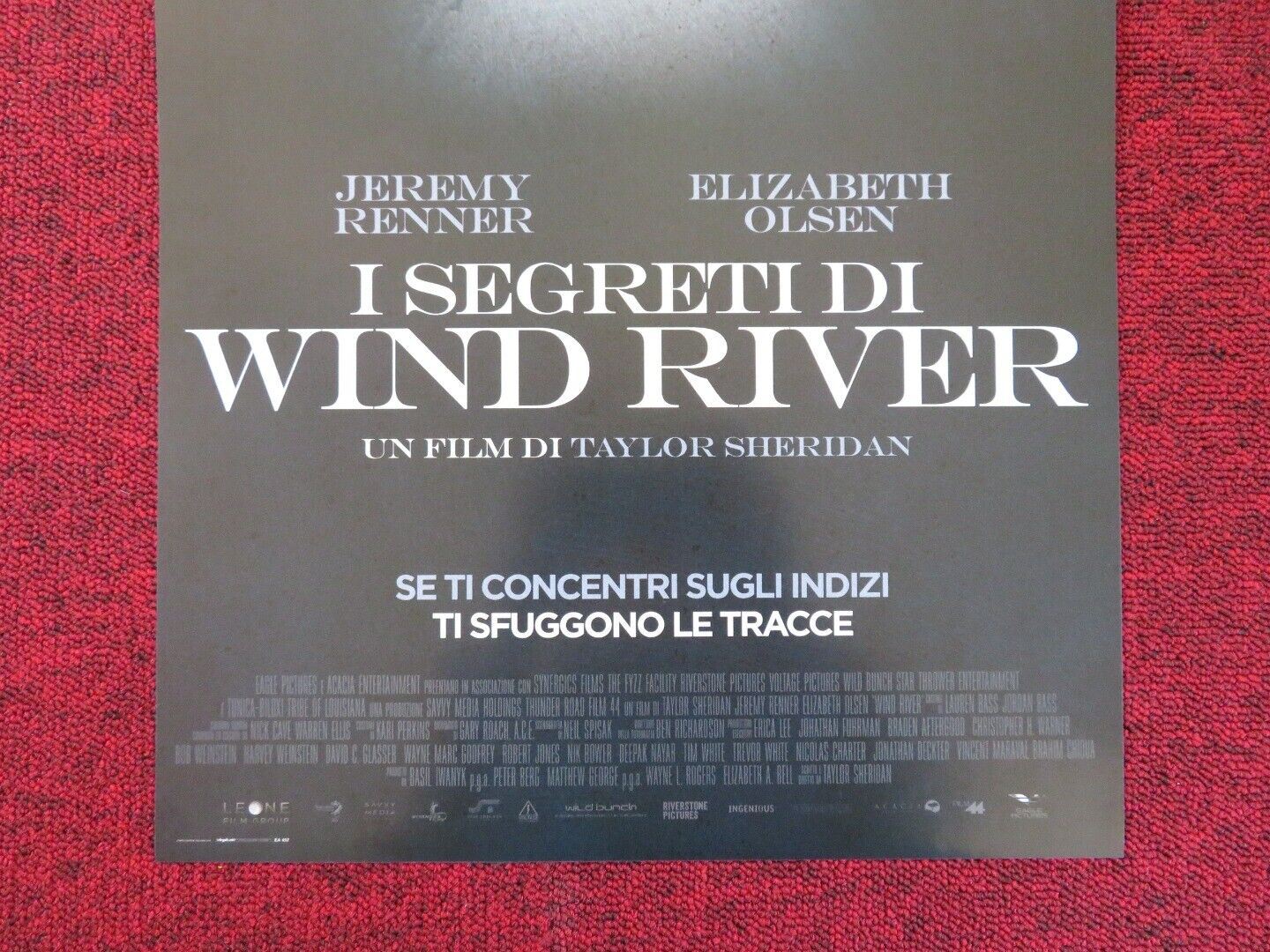 WIND RIVER ITALIAN LOCANDINA (26.5"x12.5") POSTER JEREMY RENNER 2017