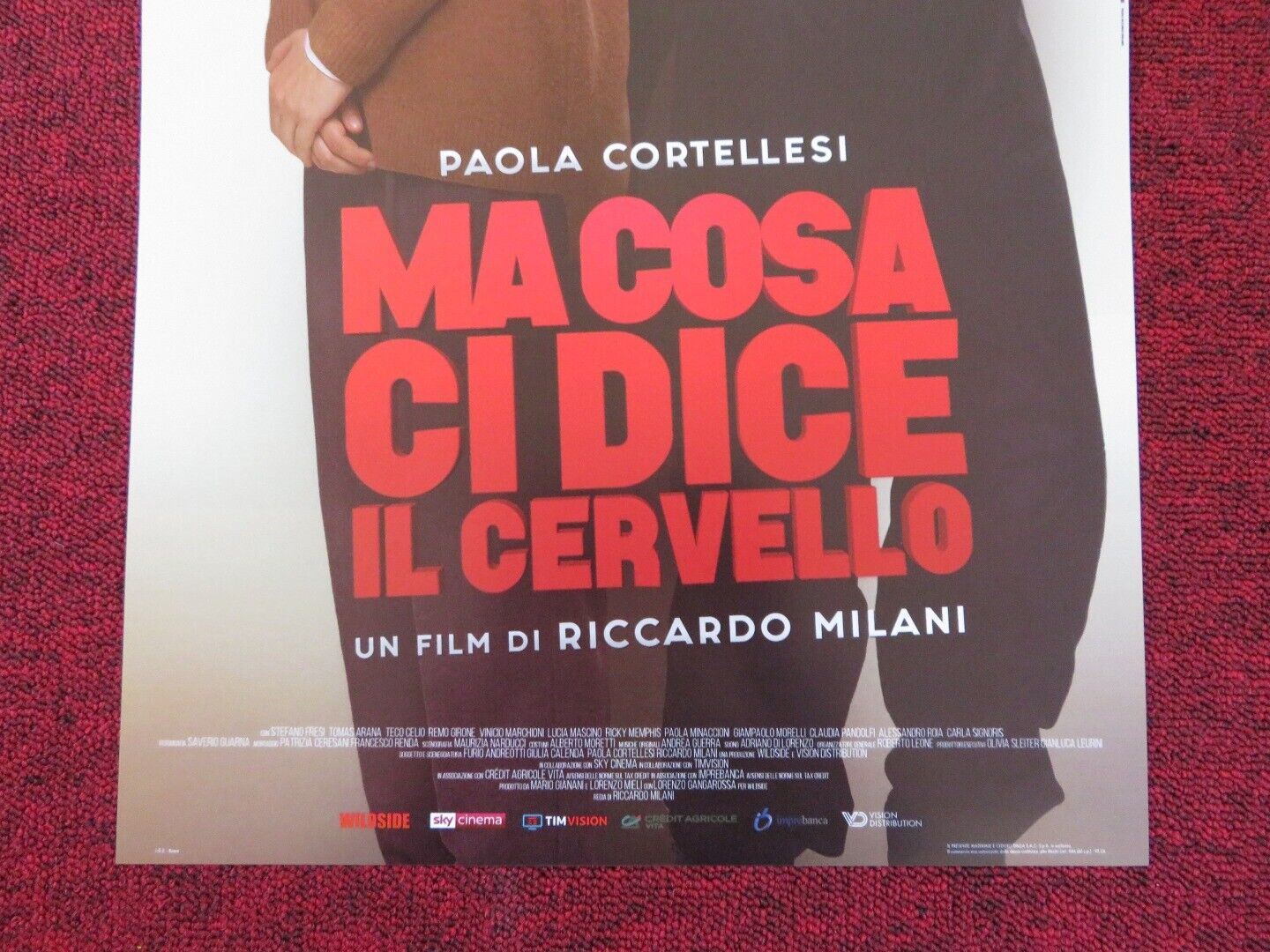 MA COSA CI DICE IL CERVELLO ITALIAN LOCANDINA (26.5"x12.5") POSTER 2019