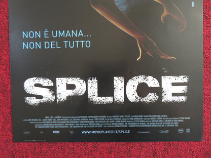 SPLICE ITALIAN LOCANDINA POSTER ADRIEN BRODY SARAH POLLEY 2009