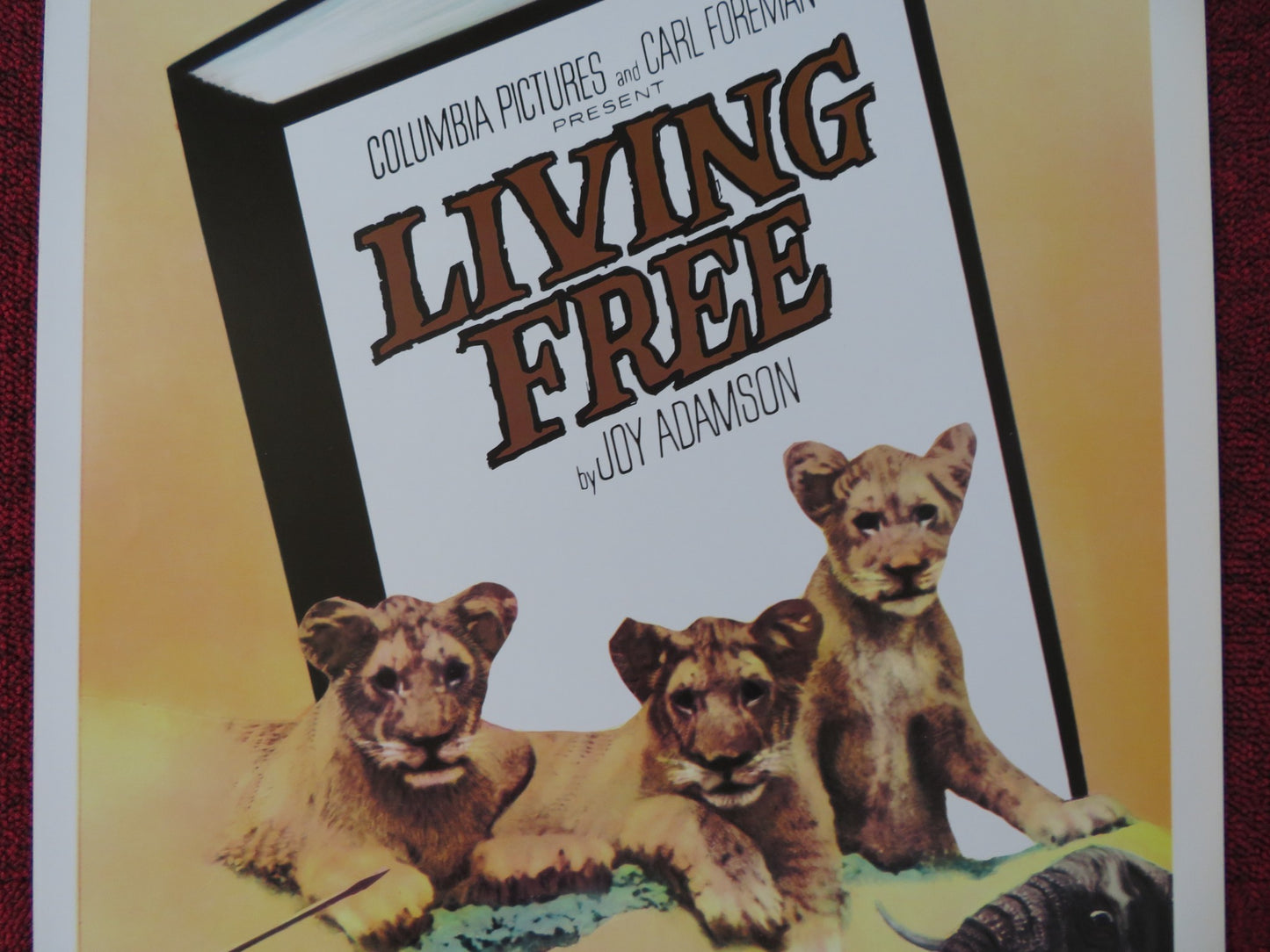 LIVING FREE US INSERT (14"x 36") POSTER NIGEL DAVENPORT SUSAN HAMPSHIRE 1972