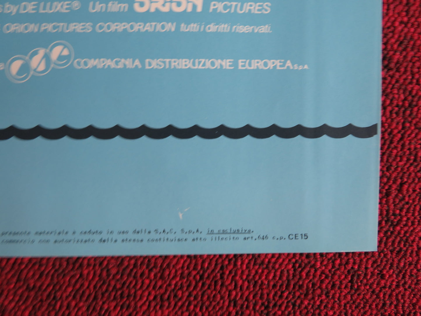 UP THE CREEK - B ITALIAN FOTOBUSTA POSTER TIM MATHESON JENNIFER RUNYON 1984