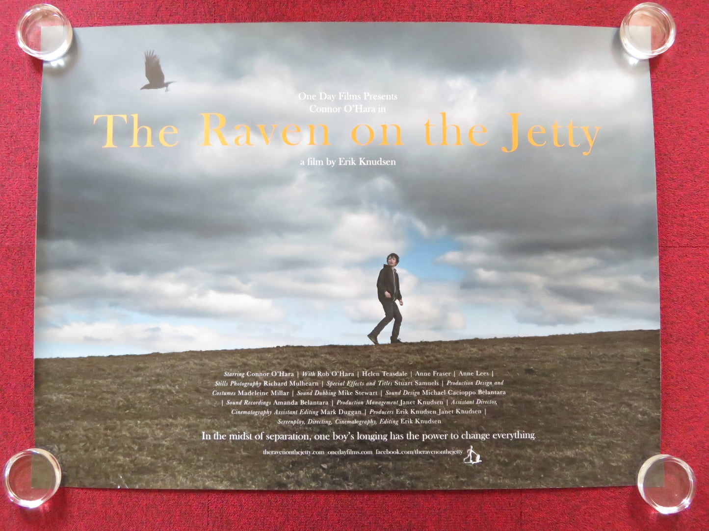 THE RAVEN ON THE JETTY UK QUAD (30"x 40") ROLLED POSTER ANNE FRASER A. LEES 2015