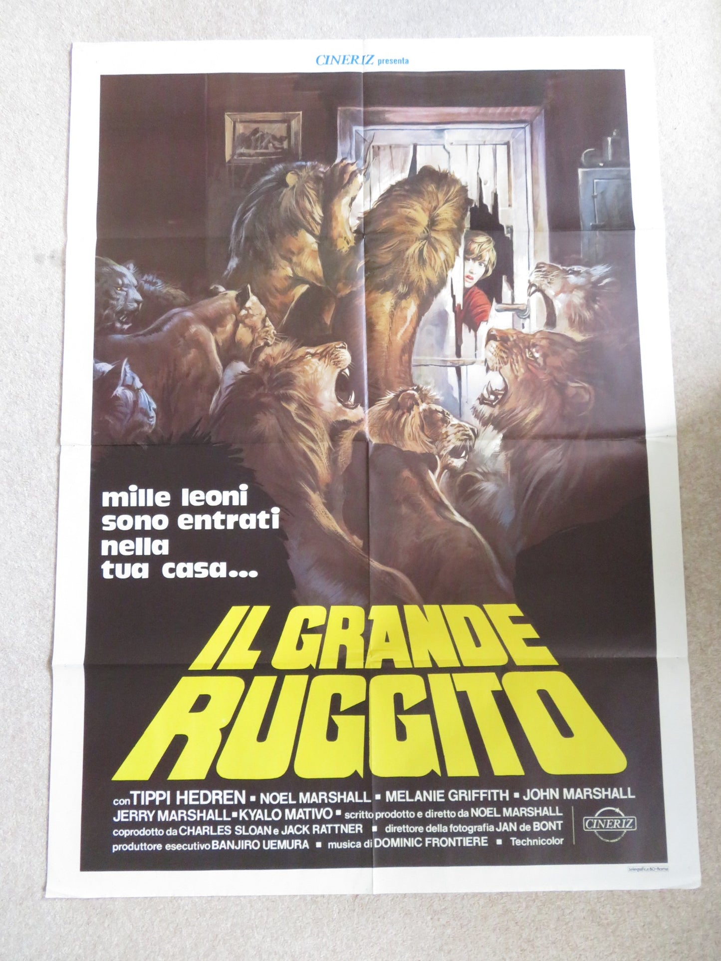 ROAR ITALIAN 2 FOGLIO POSTER TIPPI HEDREN NOEL MARSHALL 1981