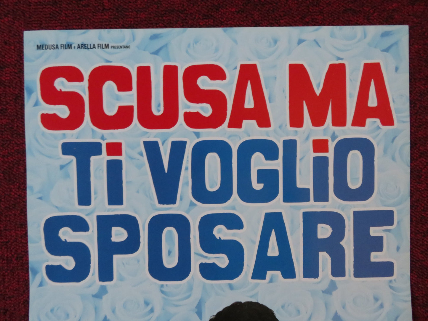 SCUSA MA TI VOGLIO SPOSARE ITALIAN LOCANDINA POSTER RAOUL BOVA 2010