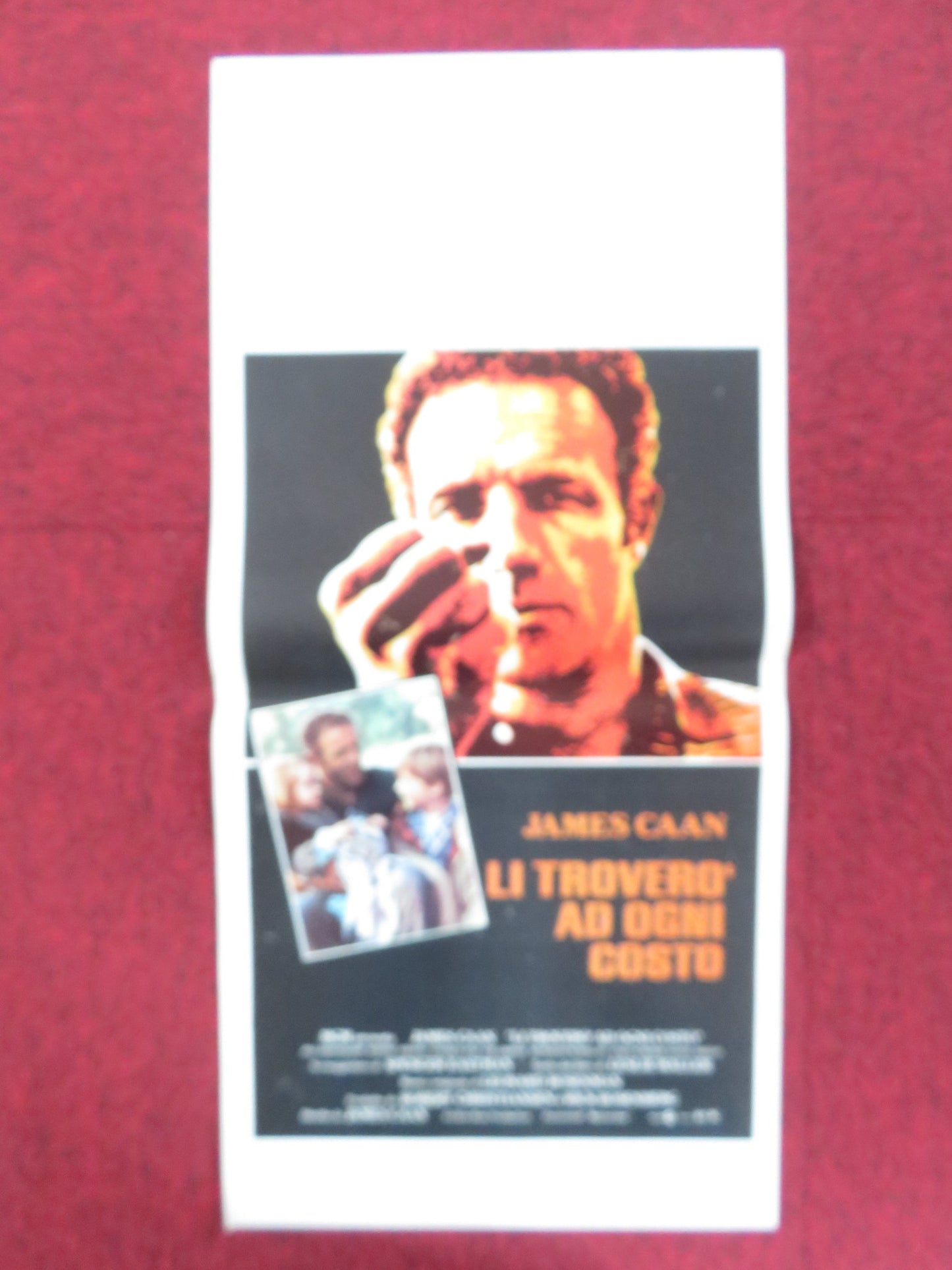 HIDE IN PLAIN SIGHT ITALIAN LOCANDINA POSTER JAMES CAAN JILL EIKENBERRY 1980