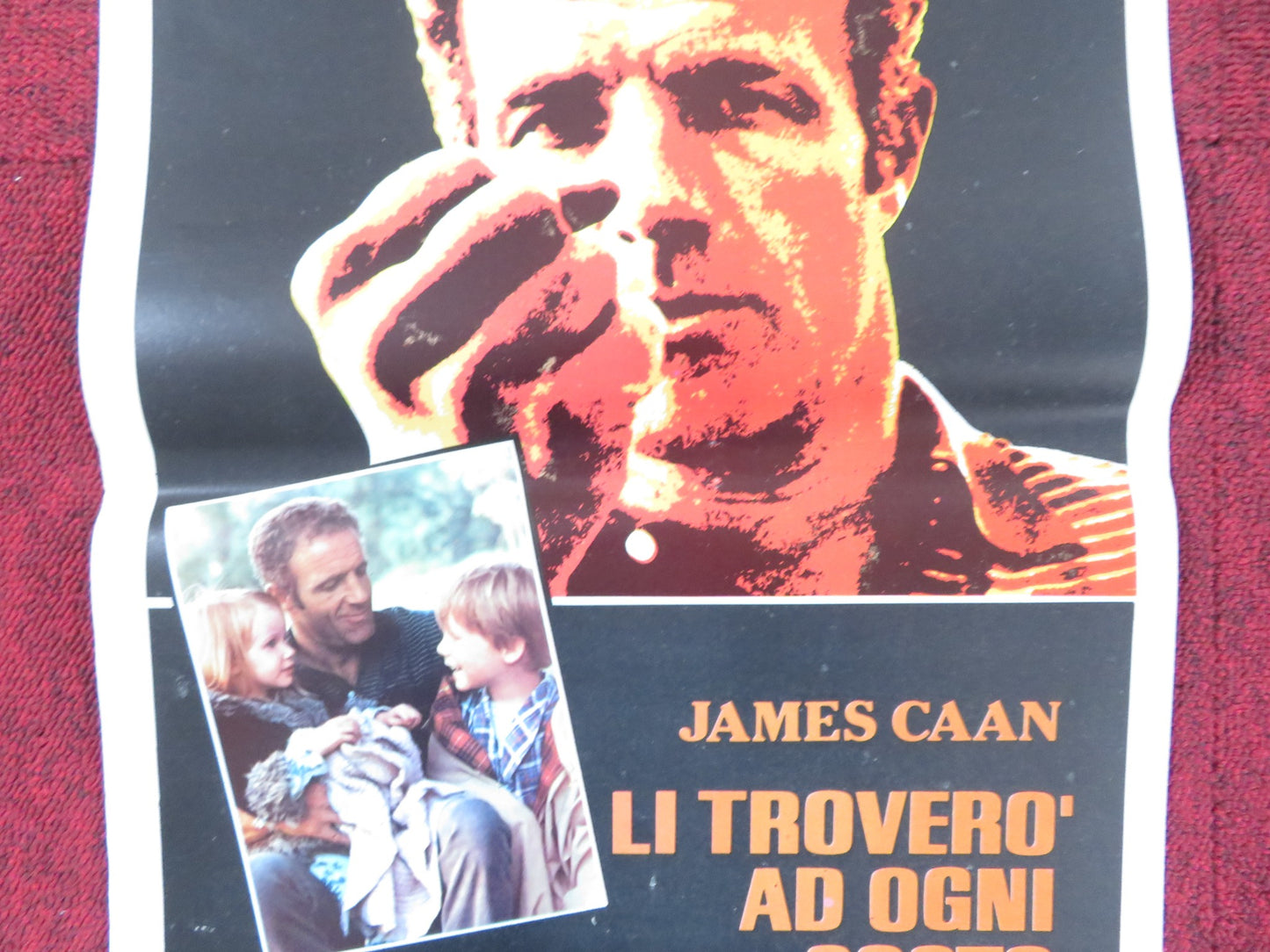 HIDE IN PLAIN SIGHT ITALIAN LOCANDINA POSTER JAMES CAAN JILL EIKENBERRY 1980