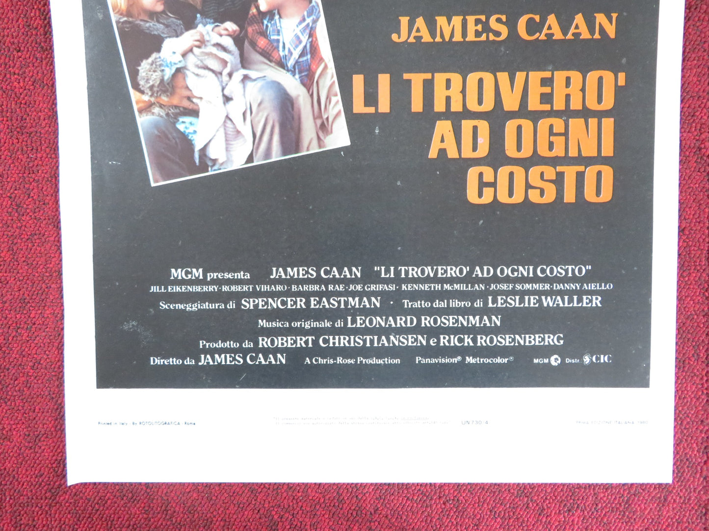 HIDE IN PLAIN SIGHT ITALIAN LOCANDINA POSTER JAMES CAAN JILL EIKENBERRY 1980