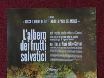 L'ALBERO DEIFRUTTI SELVATICI ITALIAN LOCANDINA POSTER DOGU DEMIRKOL 2018