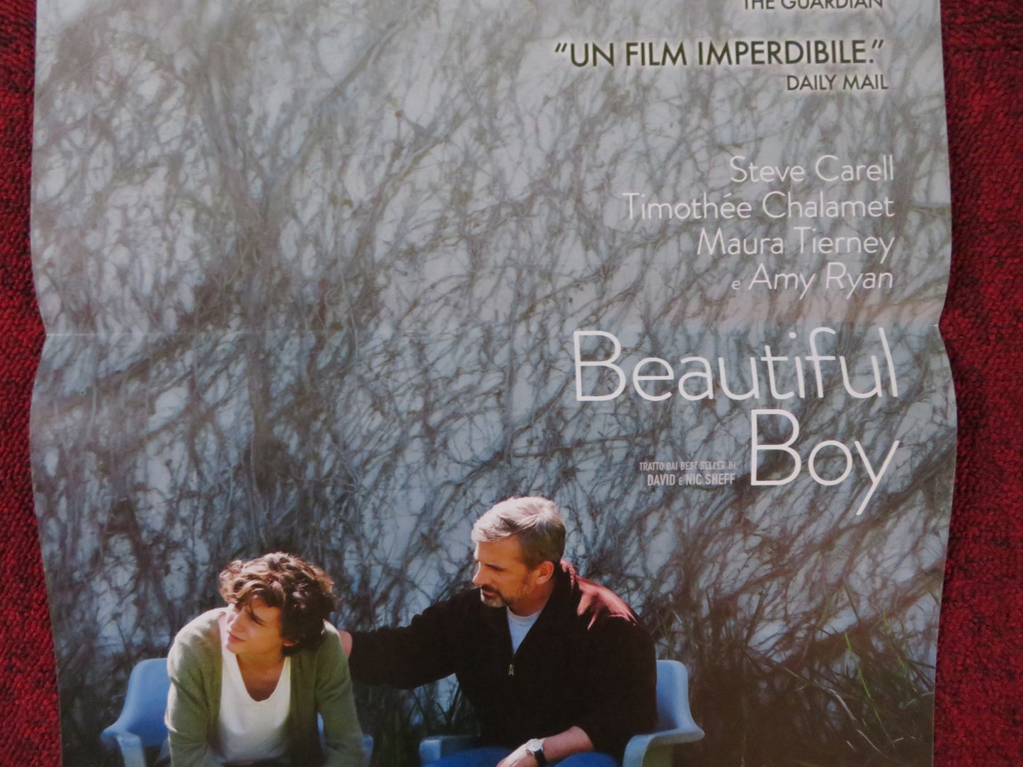 BEAUTIFUL BOY ITALIAN LOCANDINA POSTER STEVE CARELL TIMOTHEE CHALAMET 2018