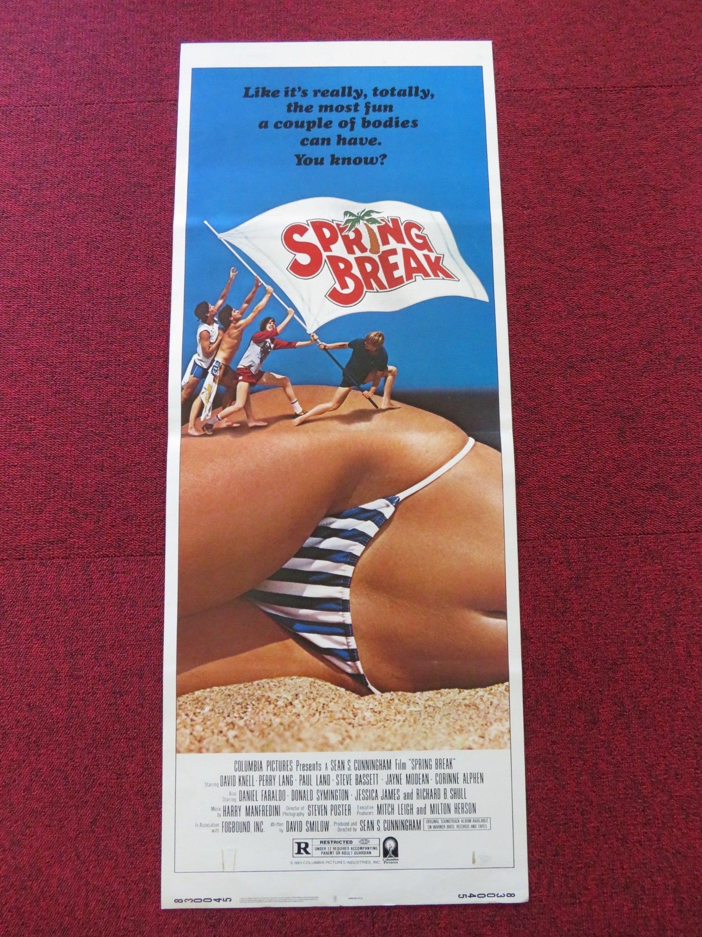 SPRING BREAK US INSERT (14"x 36") POSTER DAVID KNELL PERRY LANG 1983