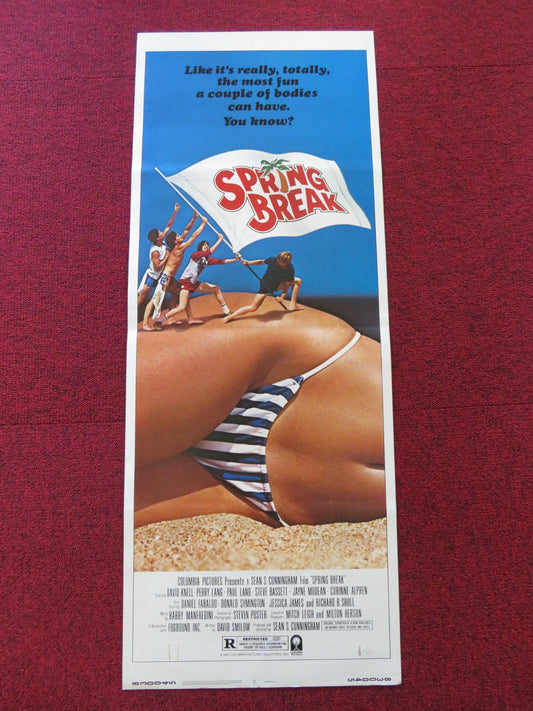 SPRING BREAK US INSERT (14"x 36") POSTER DAVID KNELL PERRY LANG 1983