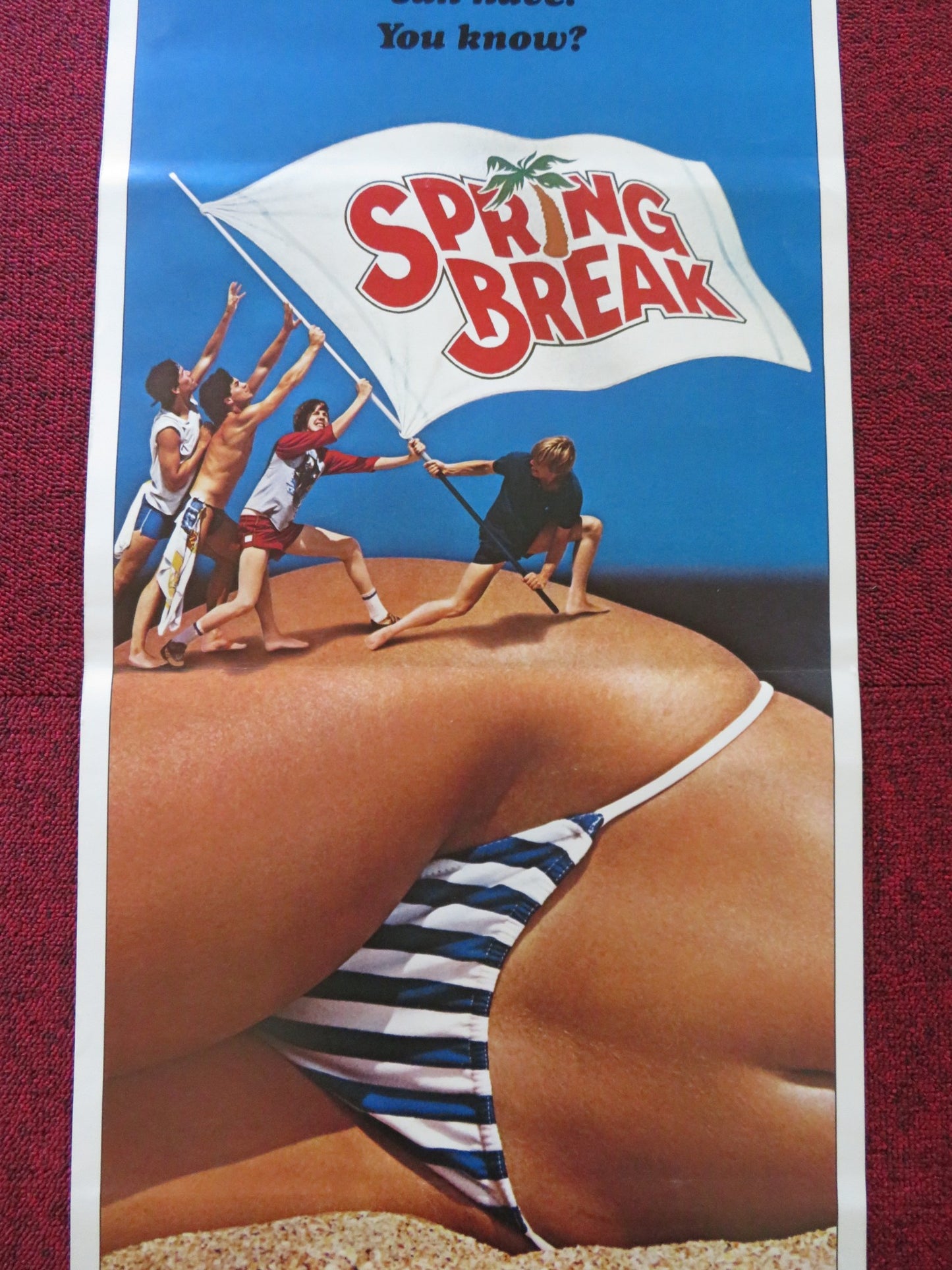 SPRING BREAK US INSERT (14"x 36") POSTER DAVID KNELL PERRY LANG 1983