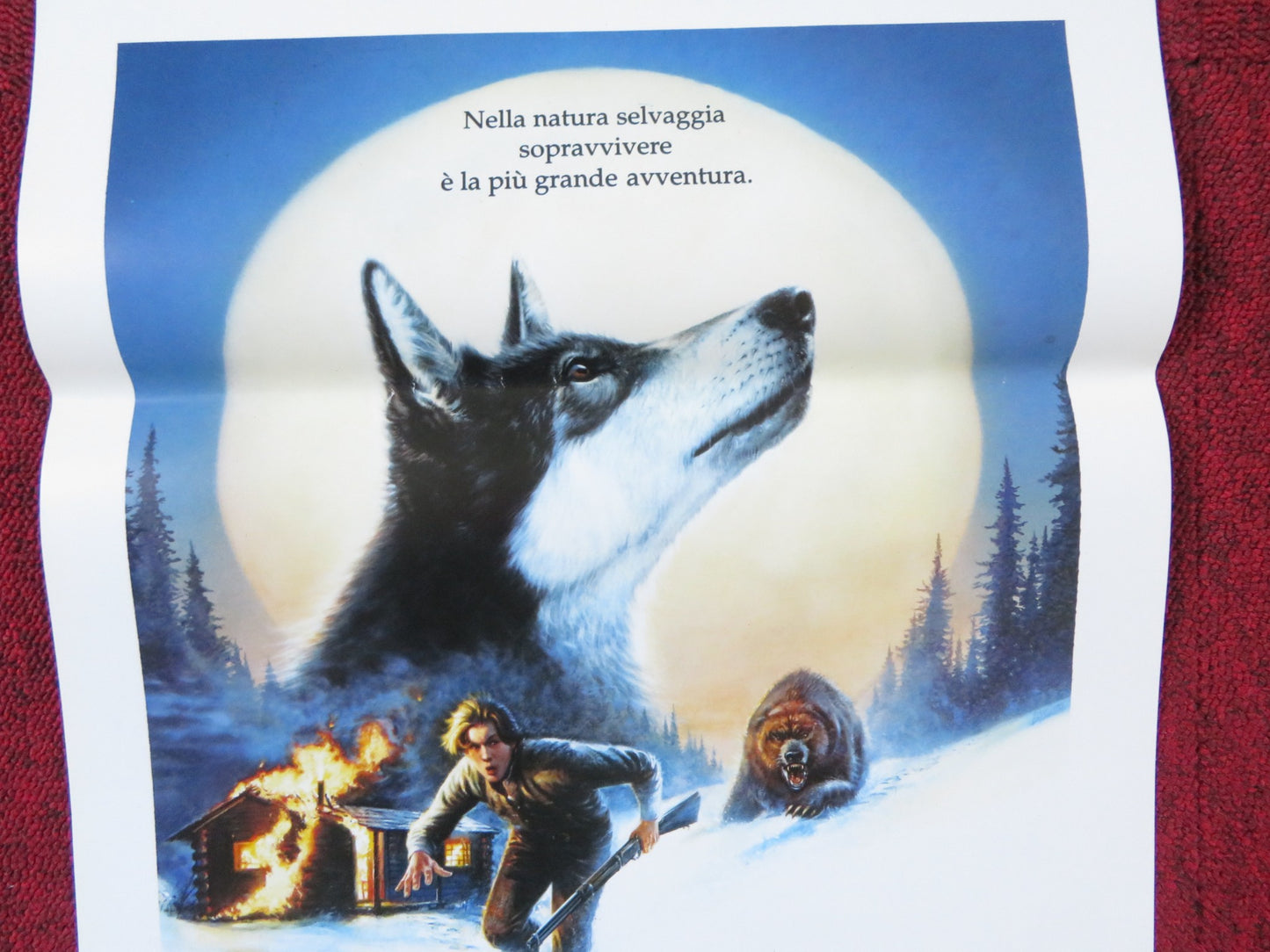 WHITE FANG ITALIAN LOCANDINA POSTER DISNEY ETHAN HAWKE 1991