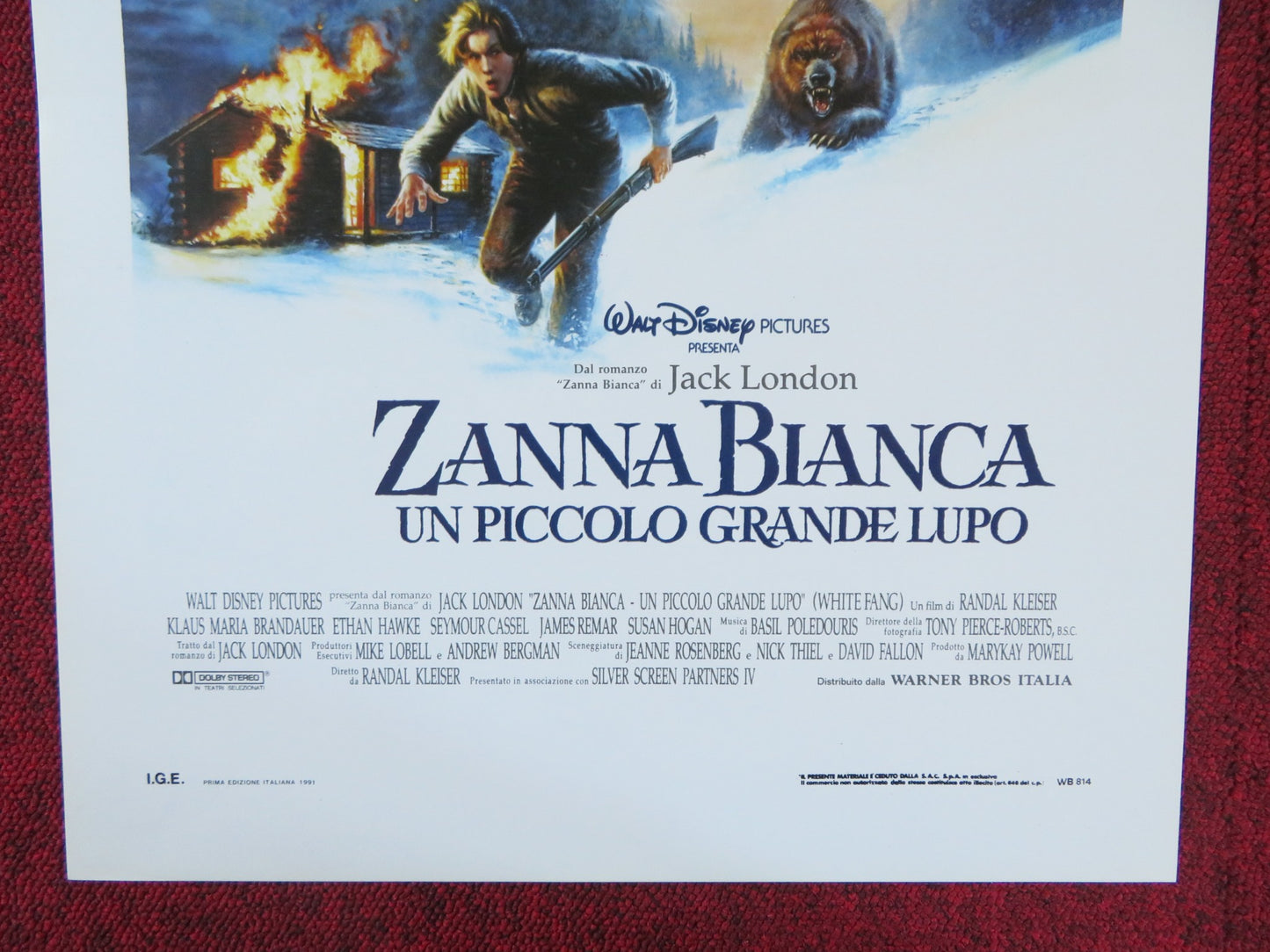 WHITE FANG ITALIAN LOCANDINA POSTER DISNEY ETHAN HAWKE 1991