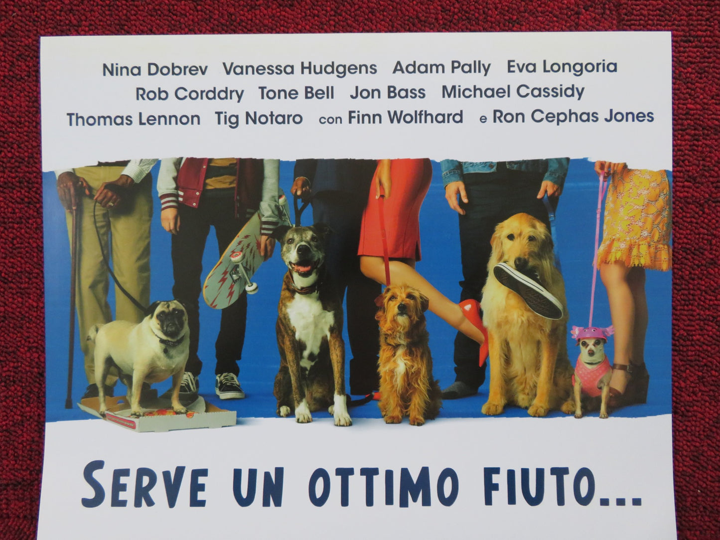 DOG DAYS ITALIAN LOCANDINA POSTER NINA DOBREV VANESSA HUDGENS 2018