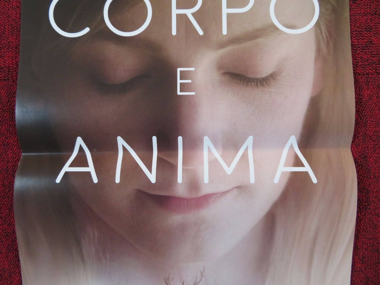 CORPO E ANIMA ITALIAN LOCANDINA POSTER ALEXANDRA BORBELY GEZA MORCSANYI 2017