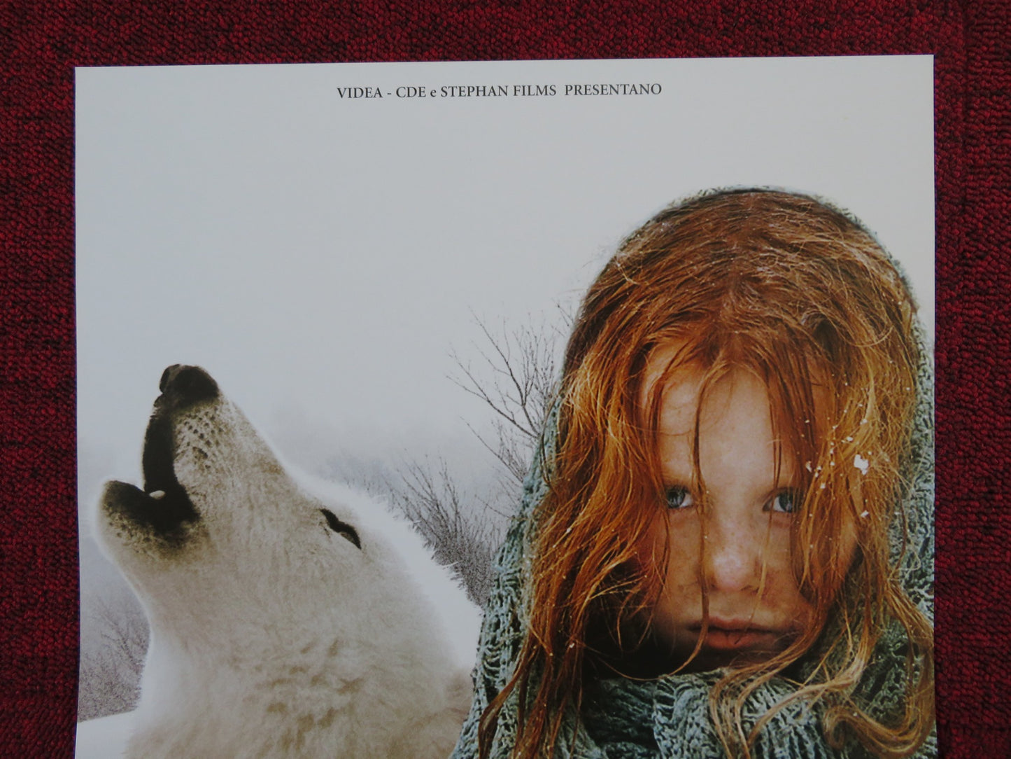 SURVIVING WITH WOLVES ITALIAN LOCANDINA POSTER MATHILDE GOFFART 2007