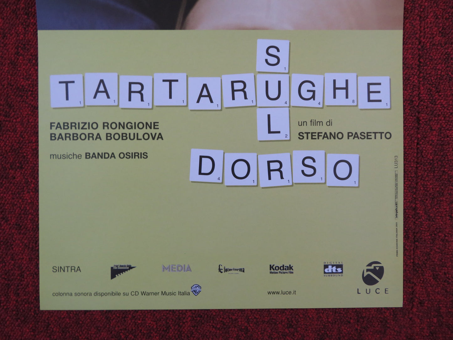 TARTARUGHE SUL DORSO ITALIAN LOCANDINA POSTER LORENZO ACQUAVIVA 2004