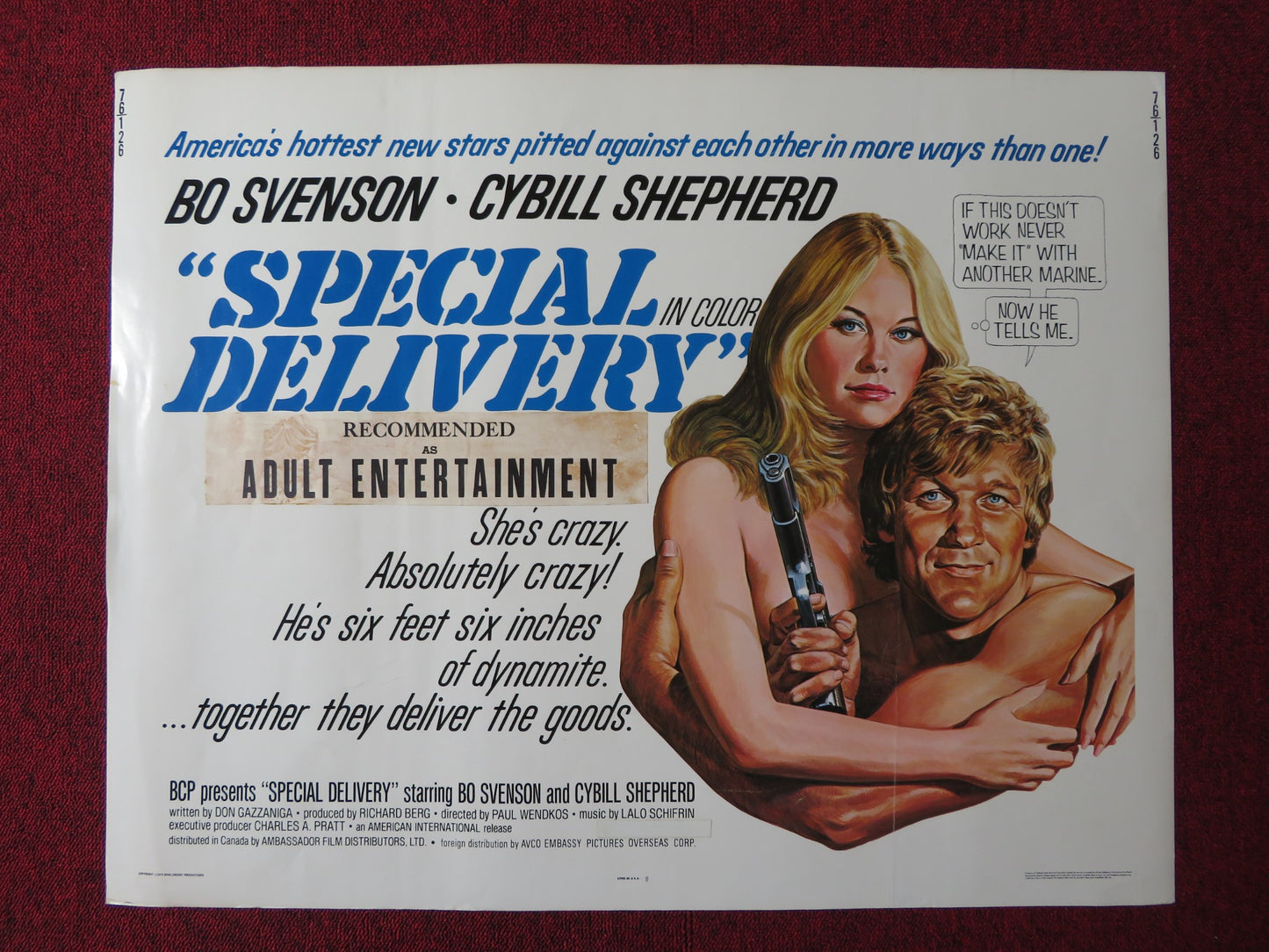 SPECIAL DELIVERY US HALF SHEET (22"x 28") POSTER BO SVENSON CYBILL SHEPHERD 1976