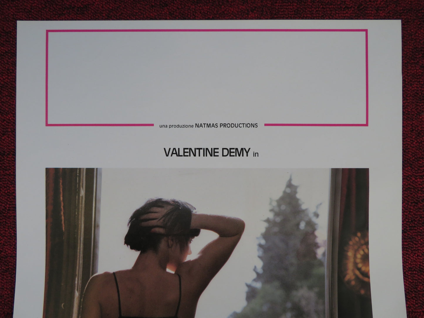 CASA DI PIACERE ITALIAN LOCANDINA POSTER VALENTINE DEMY A. FREYBERGER 1989