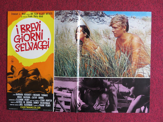 I BREVI GIORNI SELVAGGI / Last Summer - B ITALIAN FOTOBUSTA POSTER HERSHEY 1969