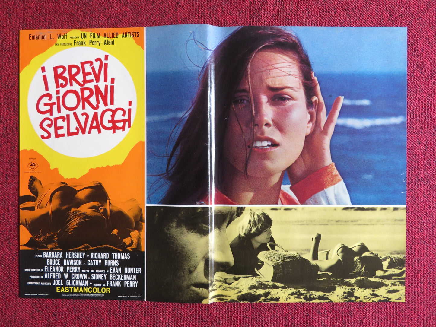 I BREVI GIORNI SELVAGGI / Last Summer - D ITALIAN FOTOBUSTA POSTER HERSHEY 1969