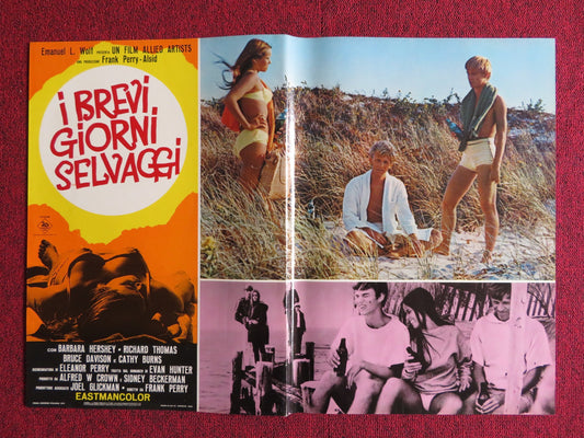 I BREVI GIORNI SELVAGGI / Last Summer - E ITALIAN FOTOBUSTA POSTER HERSHEY 1969