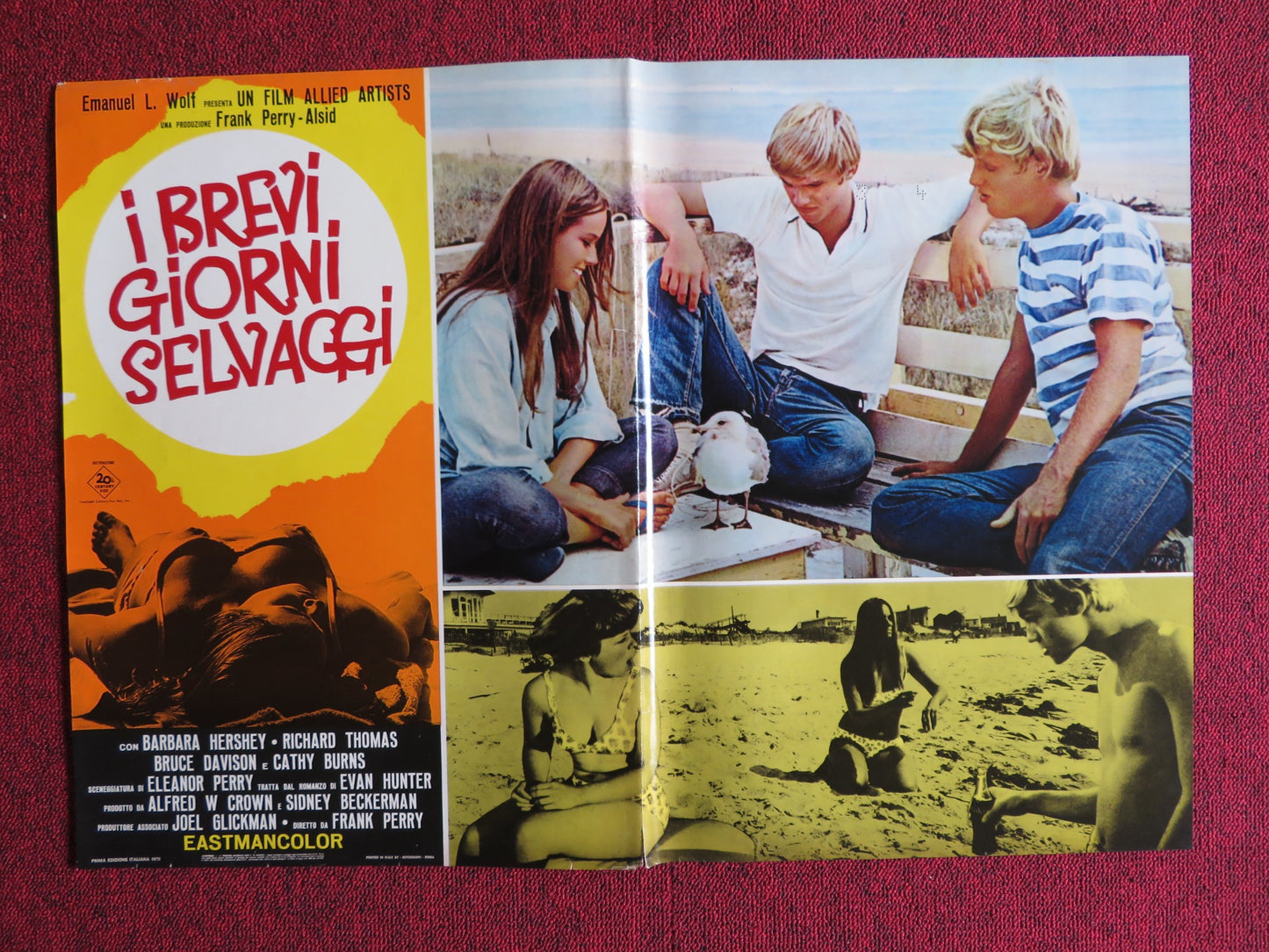 I BREVI GIORNI SELVAGGI / Last Summer - H ITALIAN FOTOBUSTA POSTER THOMAS 1969