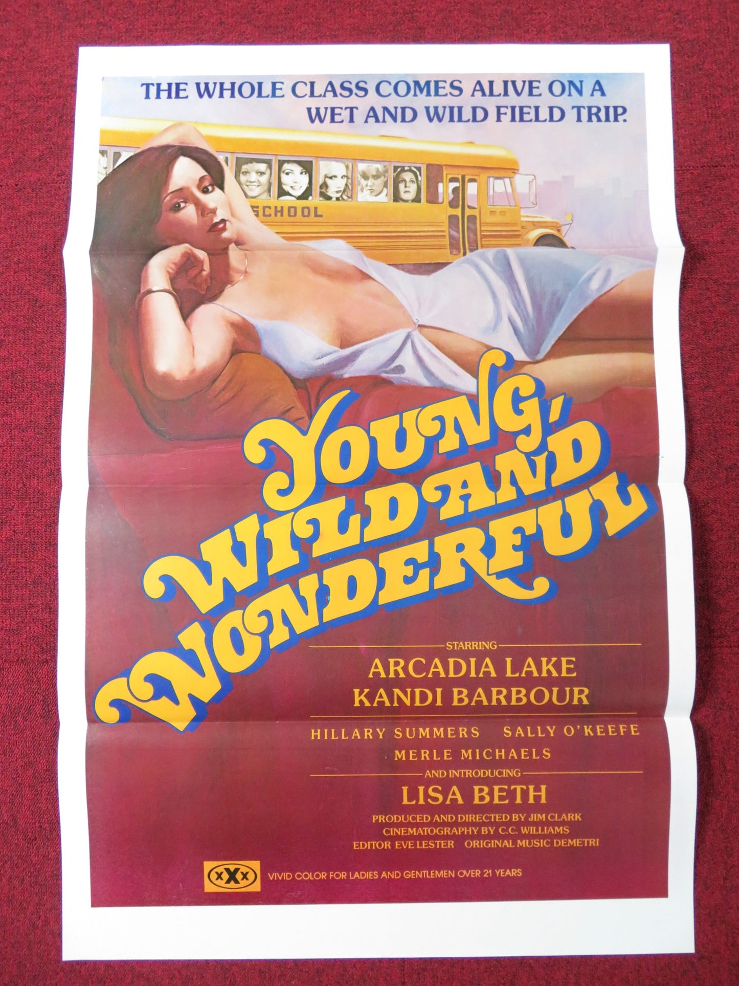 YOUNG WILD AND WONDERFUL US TRI FOLDED ONE SHEET ROLLED POSTER ARCADIA LAKE 1980