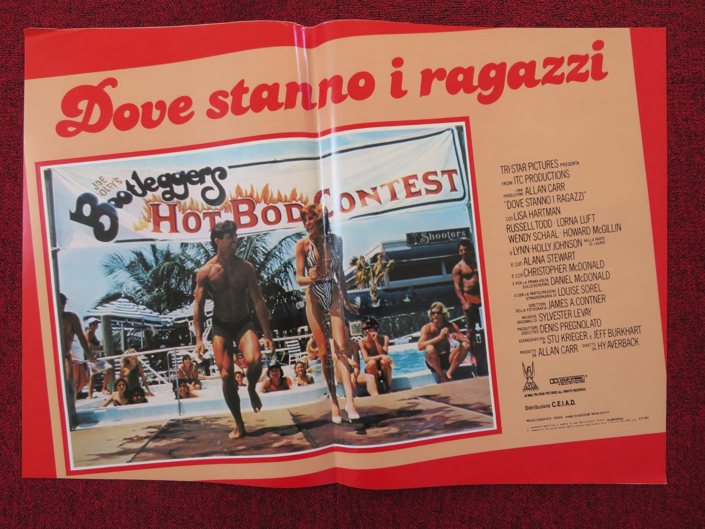 DOVE STANNO I RAGAZZI - A ITALIAN FOTOBUSTA POSTER LISA HARTMAN LORNA LUFT 1984