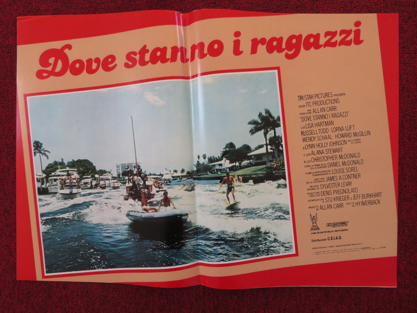 DOVE STANNO I RAGAZZI - B ITALIAN FOTOBUSTA POSTER LISA HARTMAN LORNA LUFT 1984