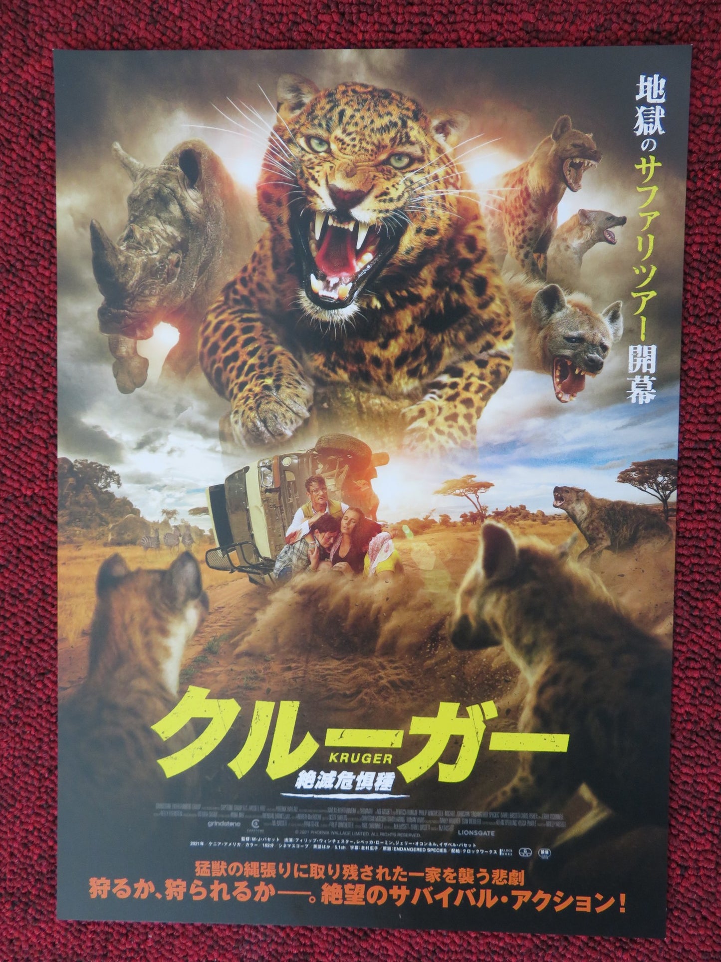 ENDANGERED SPECIES JAPANESE CHIRASHI (B5) POSTER REBECCA ROMIJN 2021