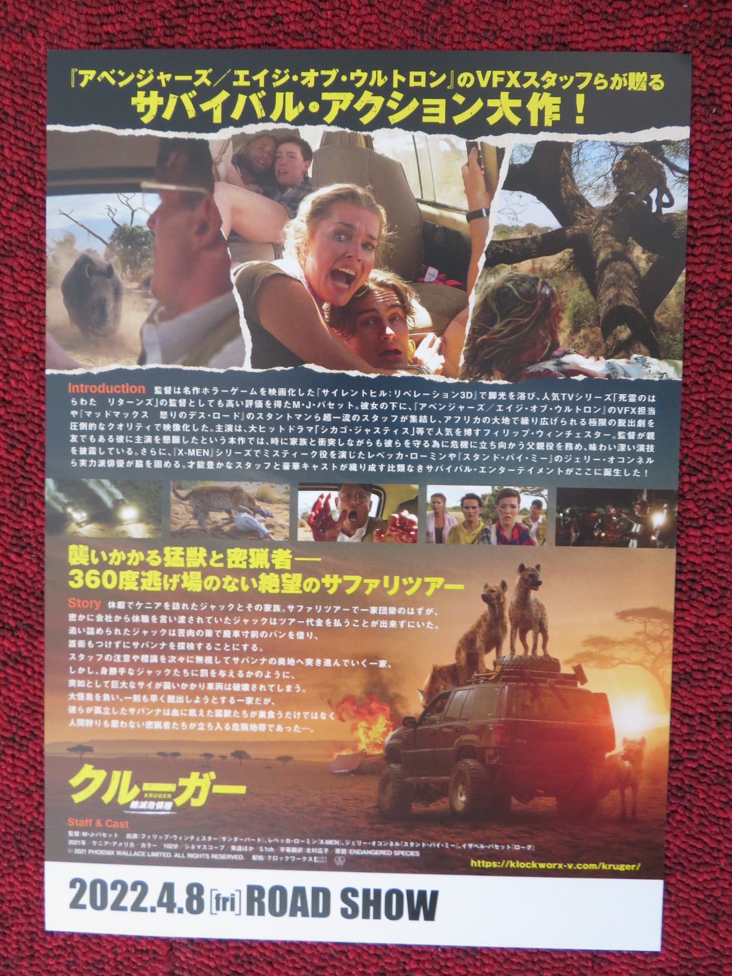 ENDANGERED SPECIES JAPANESE CHIRASHI (B5) POSTER REBECCA ROMIJN 2021