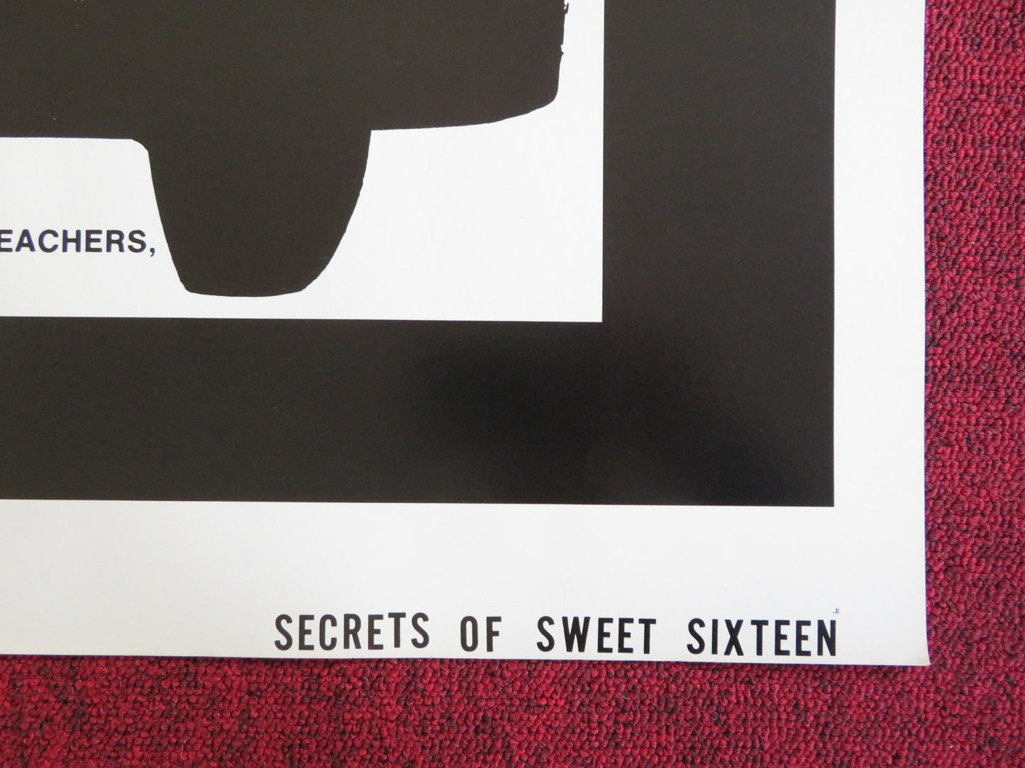 SECRETS OF SWEET SIXTEEN US TRI FOLDED ONE SHEET ROLLED POSTER W. HESS 1973