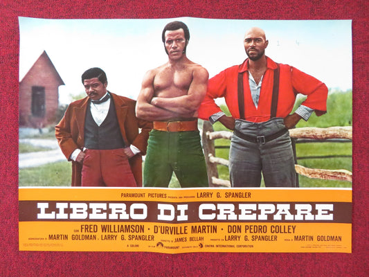 THE LEGEND OF BLACK CHARLEY - A  ITALIAN FOTOBUSTA POSTER FRED WILLIAMSON 1973