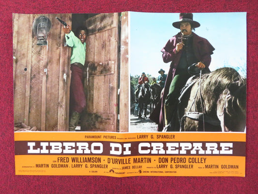 THE LEGEND OF BLACK CHARLEY - B  ITALIAN FOTOBUSTA POSTER FRED WILLIAMSON 1973