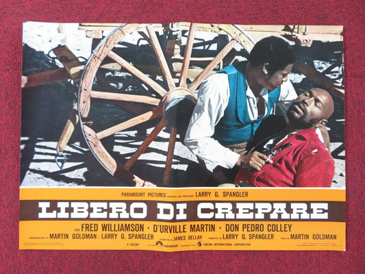 THE LEGEND OF BLACK CHARLEY - D  ITALIAN FOTOBUSTA POSTER FRED WILLIAMSON 1973