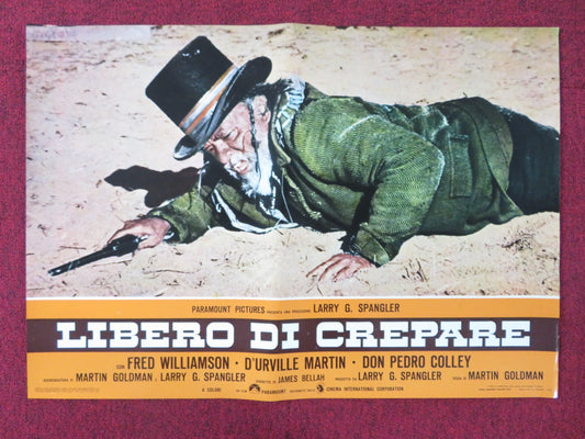 THE LEGEND OF BLACK CHARLEY - E  ITALIAN FOTOBUSTA POSTER FRED WILLIAMSON 1973