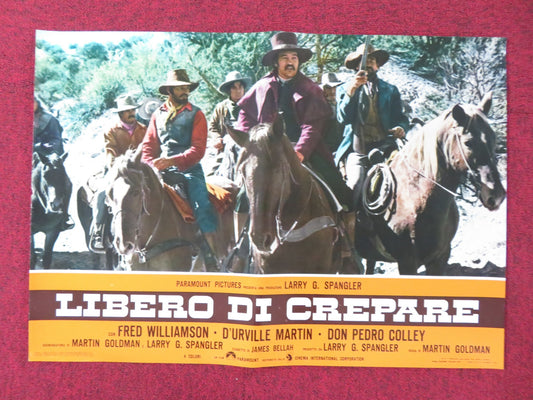 THE LEGEND OF BLACK CHARLEY - F  ITALIAN FOTOBUSTA POSTER FRED WILLIAMSON 1973