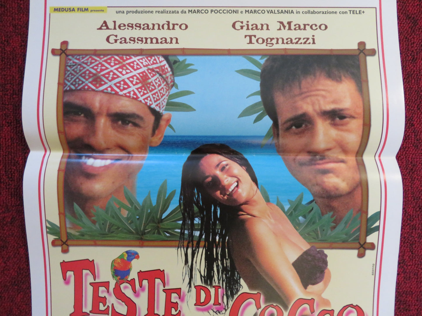 TESTE DI COCCO ITALIAN LOCANDINA POSTER ALESSANDRO GASSMAN G. M. TOGNAZZI 2000