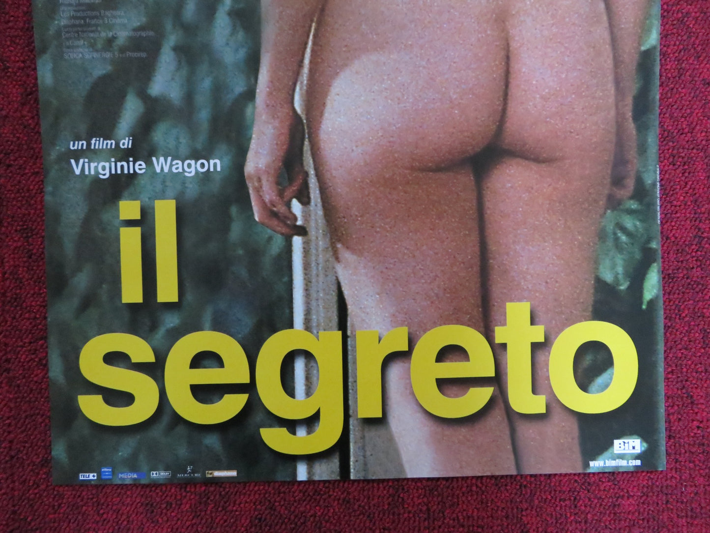 IL SEGRETO ITALIAN LOCANDINA POSTER ANNE COESENS TONY TODD 2000