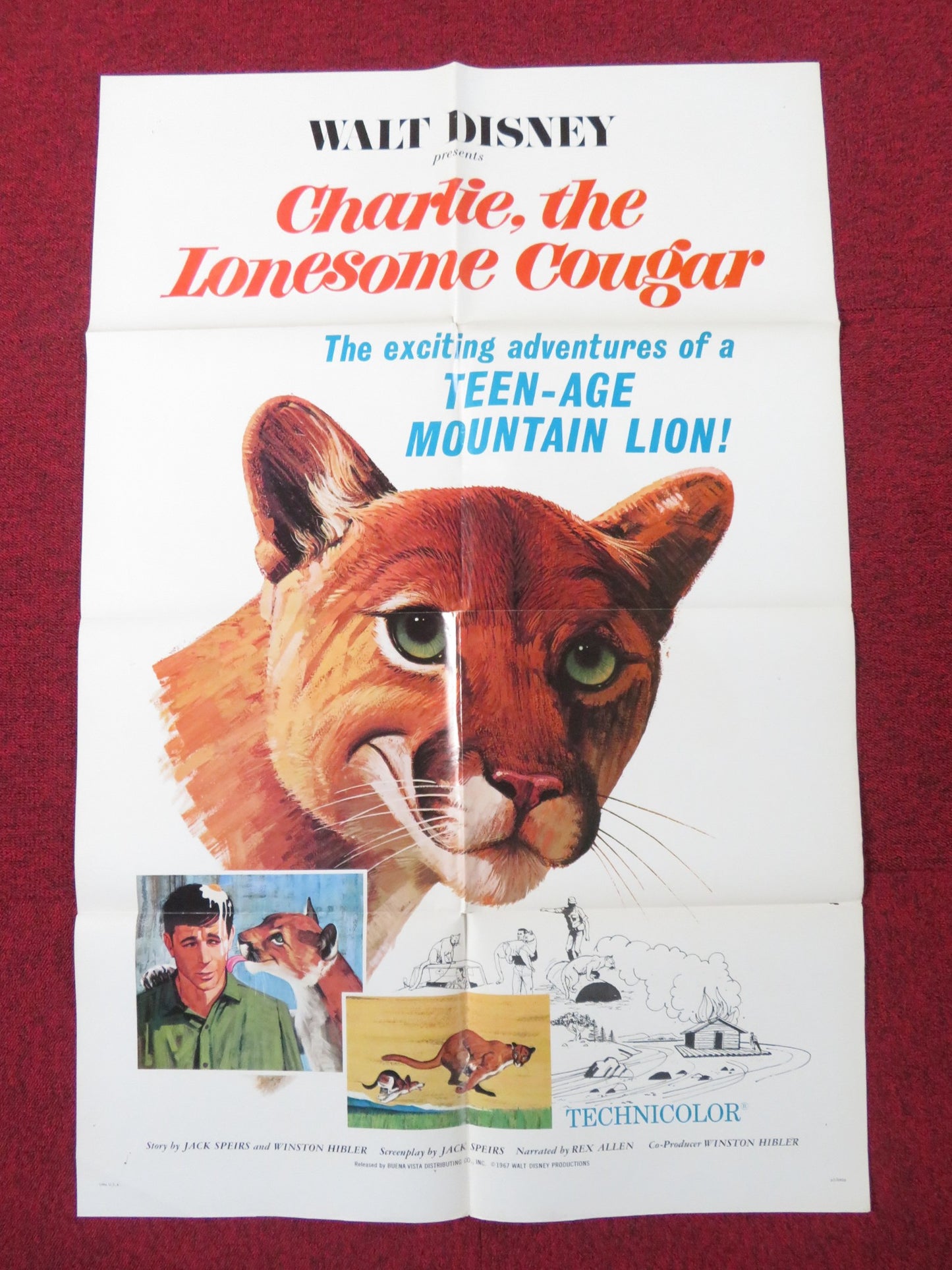 CHARLIE THE LONESOME COUGAR FOLDED US ONE SHEET POSTER DISNEY REX ALLEN 1967