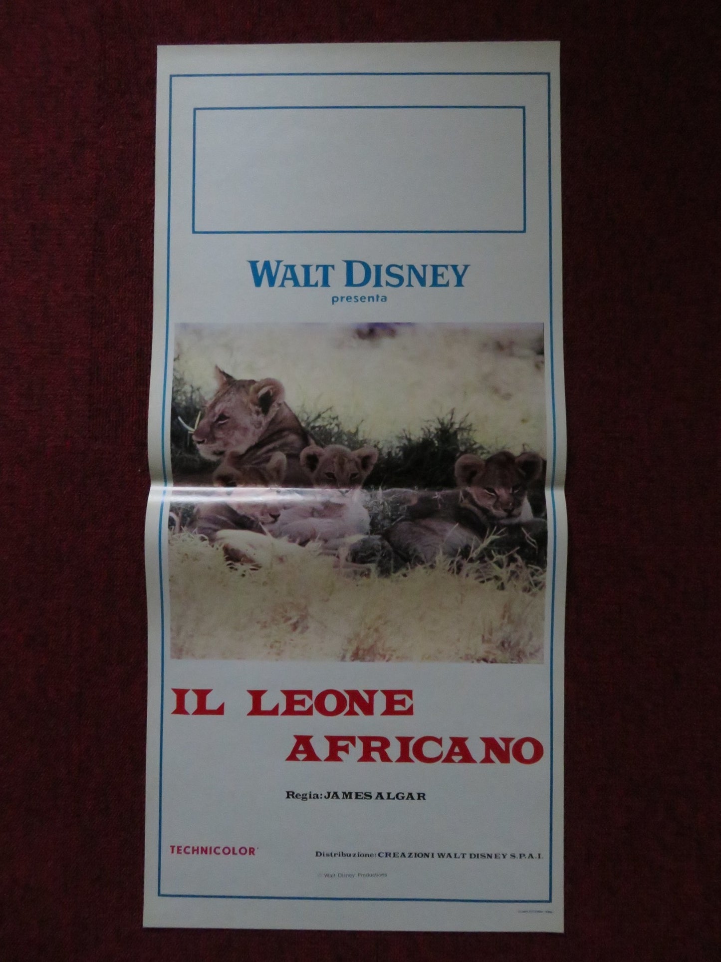 THE AFRICAN LION ITALIAN LOCANDINA POSTER DISNEY WINSTON HIBLER 1957