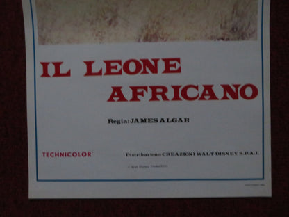 THE AFRICAN LION ITALIAN LOCANDINA POSTER DISNEY WINSTON HIBLER 1957